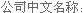 company name (chinese)